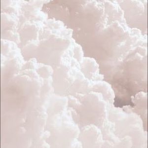 Meet your Posher, Drea